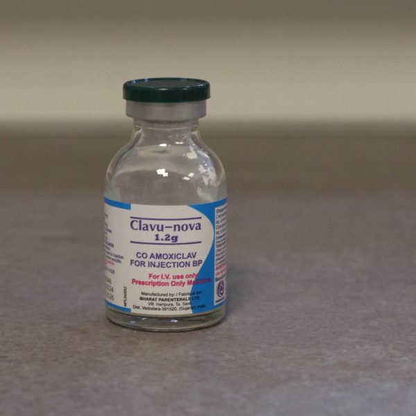 Amoxicillin + Clavulanic Acid Injection, 1.2g